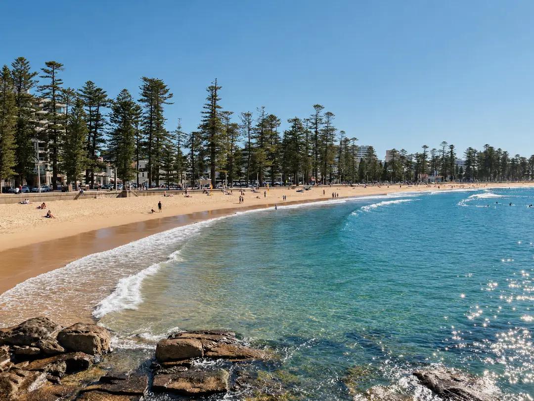 Manly Beach on a clear day, with pine trees behind the sand and a few people far away.